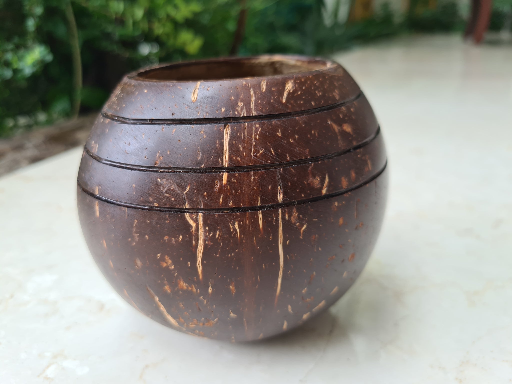 Triple line Coconut Planter | Indoor