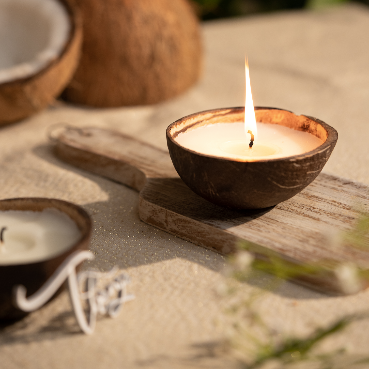 Home & Living :: Candles :: Candles :: Coconut Wax Candle in Coconut Shell