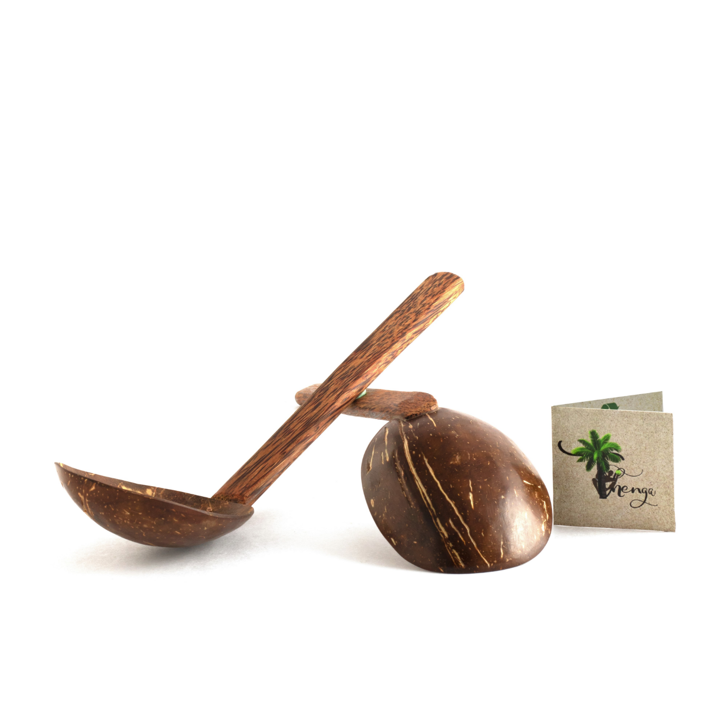 Coconut Shell Serving Spoon set